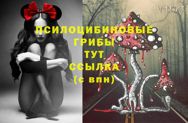 2c-b Пестово