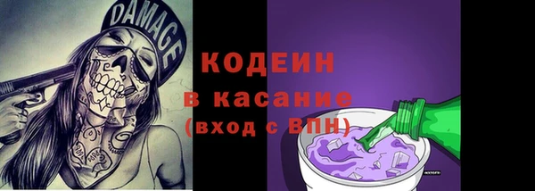 2c-b Пестово