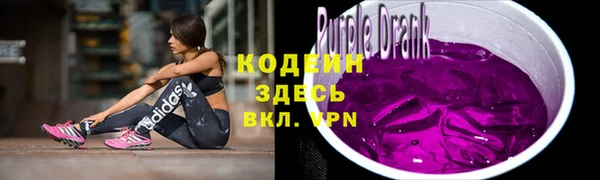 2c-b Пестово