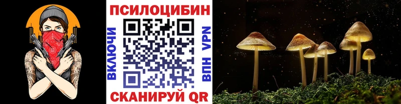 Галлюциногенные грибы Cubensis  Урень 